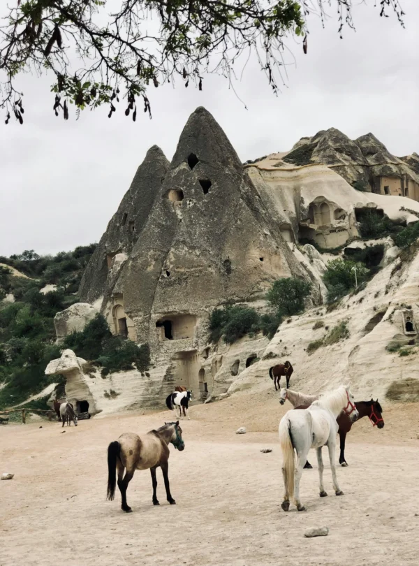 cappadocia activities